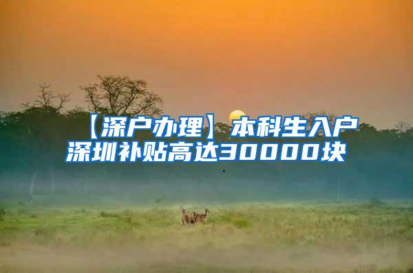 【深户办理】本科生入户深圳补贴高达30000块