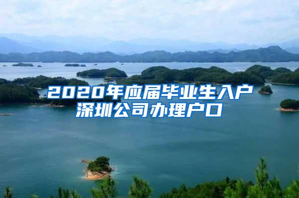 2020年应届毕业生入户深圳公司办理户口