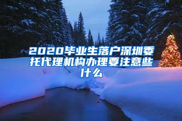 2020毕业生落户深圳委托代理机构办理要注意些什么