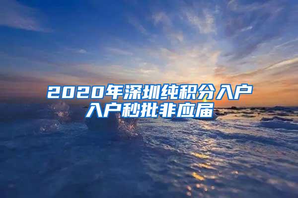 2020年深圳纯积分入户入户秒批非应届