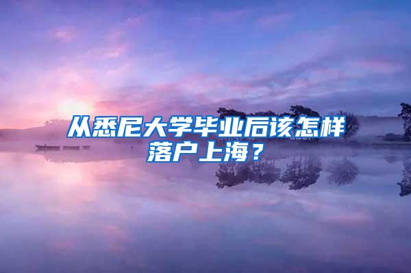 从悉尼大学毕业后该怎样落户上海？