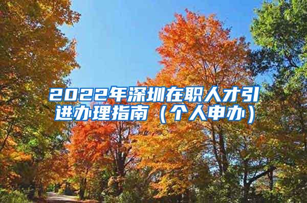 2022年深圳在职人才引进办理指南（个人申办）