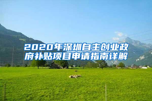 2020年深圳自主创业政府补贴项目申请指南详解