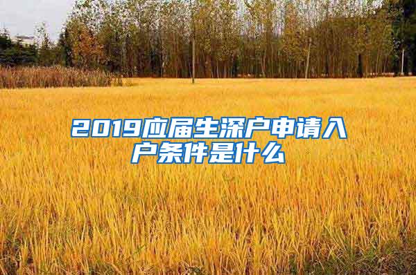 2019应届生深户申请入户条件是什么