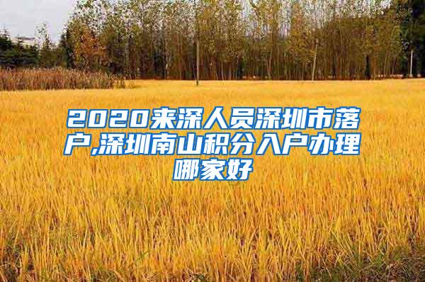 2020来深人员深圳市落户,深圳南山积分入户办理哪家好