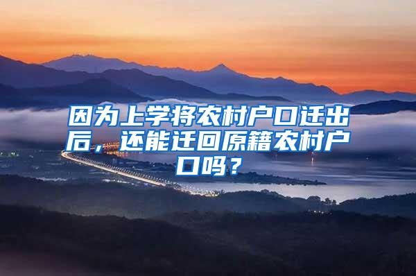 因为上学将农村户口迁出后，还能迁回原籍农村户口吗？