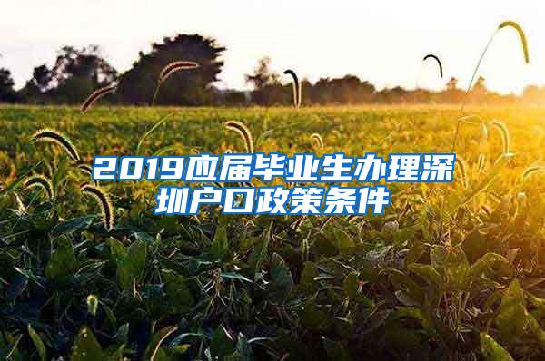 2019应届毕业生办理深圳户口政策条件