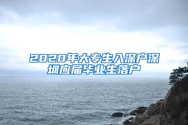 2020年大专生入深户深圳应届毕业生落户