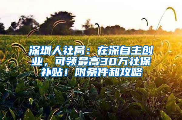 深圳人社局：在深自主创业，可领最高30万社保补贴！附条件和攻略