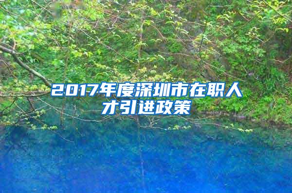 2017年度深圳市在职人才引进政策