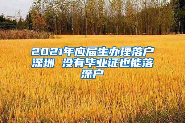 2021年应届生办理落户深圳 没有毕业证也能落深户