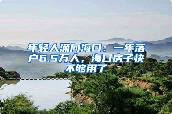 年轻人涌向海口：一年落户6.5万人，海口房子快不够用了