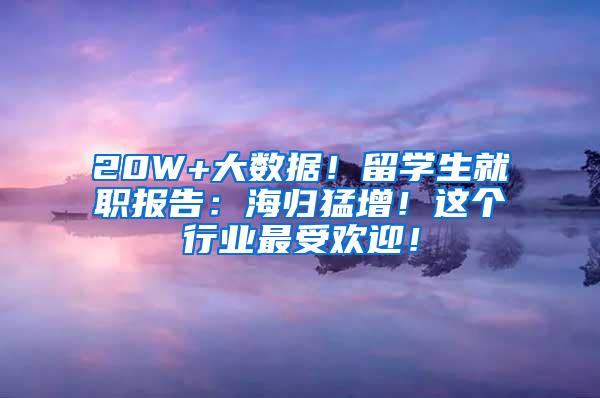 20W+大数据！留学生就职报告：海归猛增！这个行业最受欢迎！