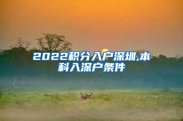 2022积分入户深圳,本科入深户条件