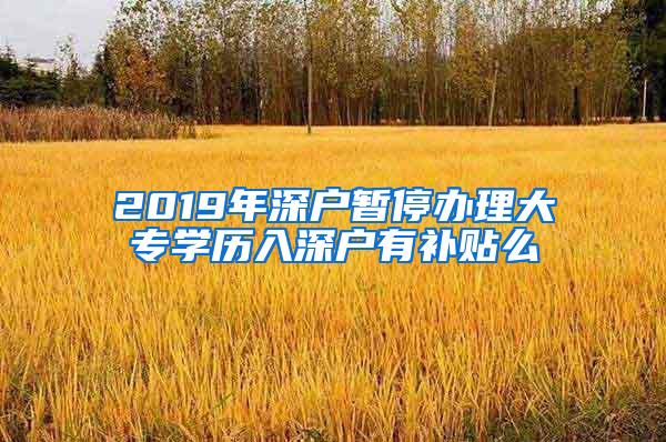 2019年深户暂停办理大专学历入深户有补贴么