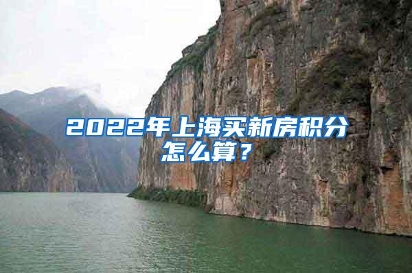 2022年上海买新房积分怎么算？