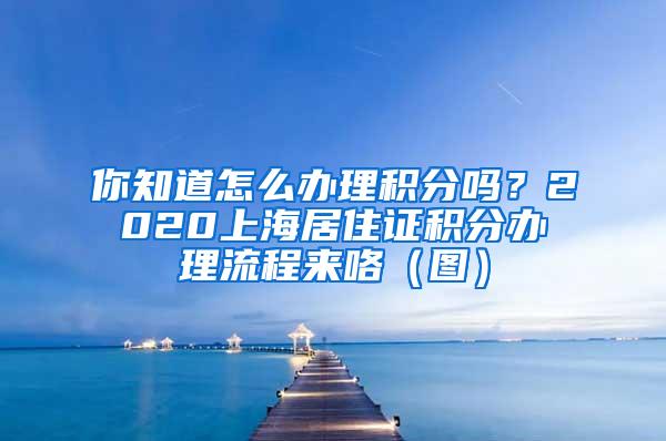 你知道怎么办理积分吗？2020上海居住证积分办理流程来咯（图）