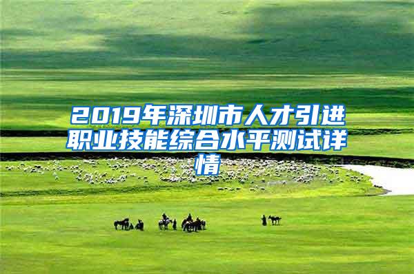 2019年深圳市人才引进职业技能综合水平测试详情