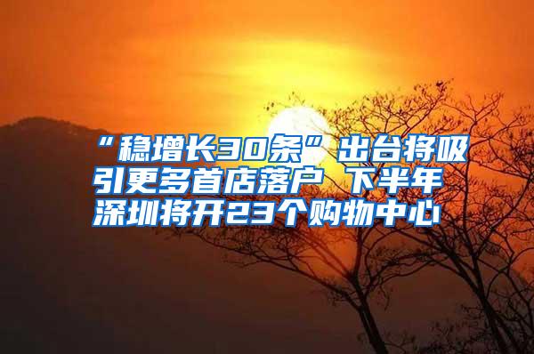 “稳增长30条”出台将吸引更多首店落户 下半年深圳将开23个购物中心