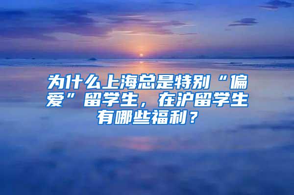 为什么上海总是特别“偏爱”留学生，在沪留学生有哪些福利？