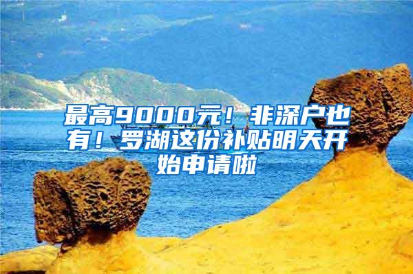 最高9000元！非深户也有！罗湖这份补贴明天开始申请啦