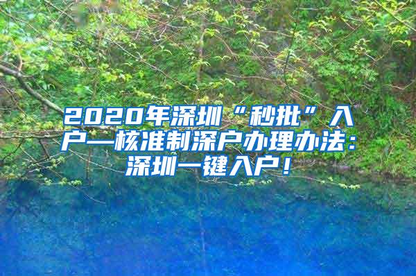 2020年深圳“秒批”入户—核准制深户办理办法：深圳一键入户！