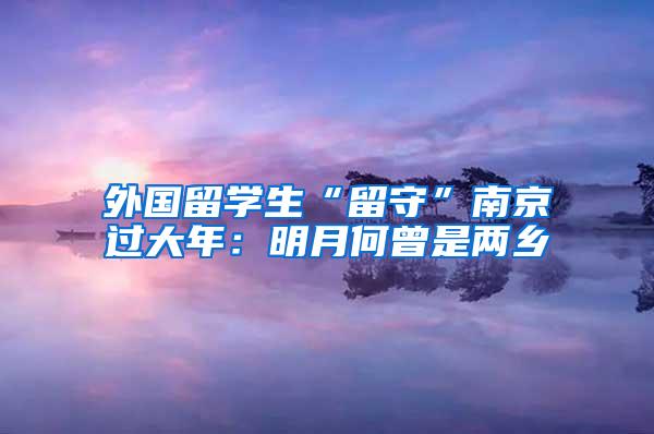 外国留学生“留守”南京过大年：明月何曾是两乡