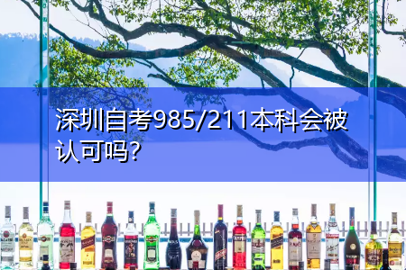 深圳自考985/211本科会被认可吗？