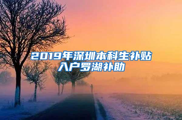 2019年深圳本科生补贴入户罗湖补助