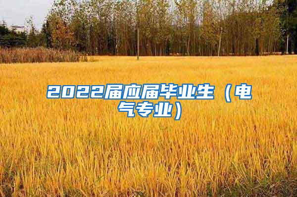 2022届应届毕业生（电气专业）