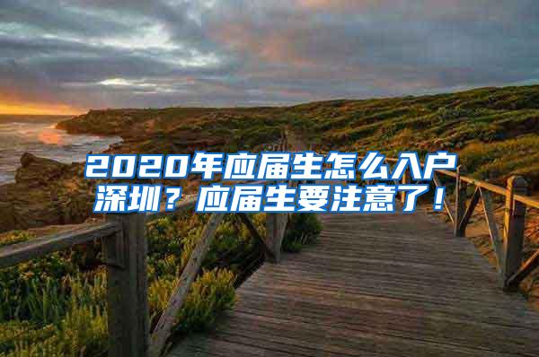 2020年应届生怎么入户深圳？应届生要注意了！