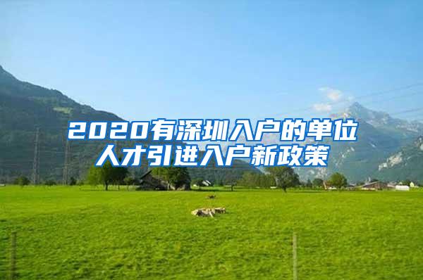 2020有深圳入户的单位人才引进入户新政策