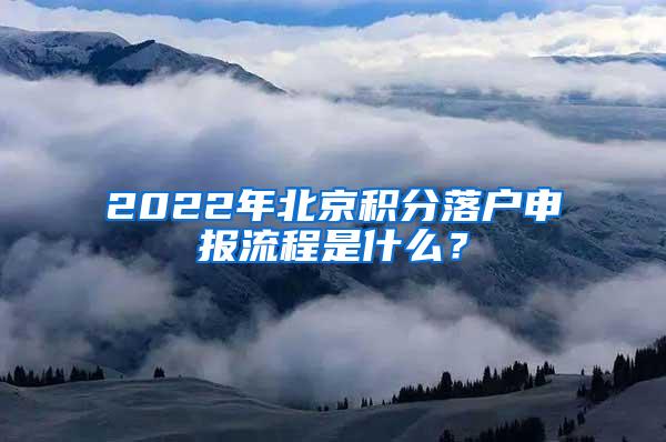 2022年北京积分落户申报流程是什么？