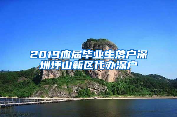 2019应届毕业生落户深圳坪山新区代办深户