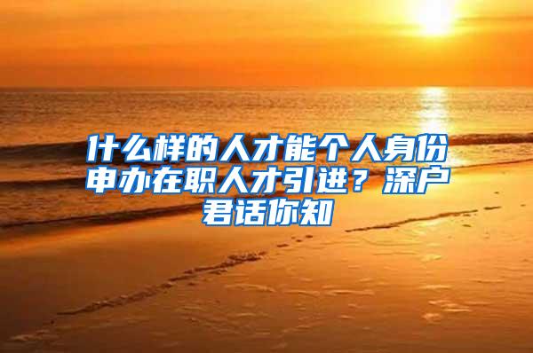 什么样的人才能个人身份申办在职人才引进？深户君话你知