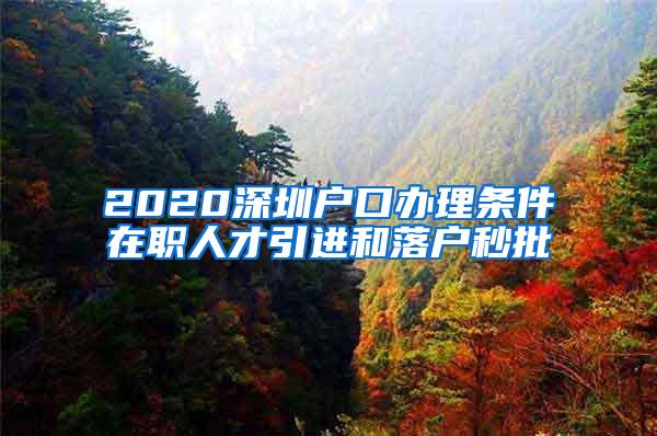 2020深圳户口办理条件在职人才引进和落户秒批