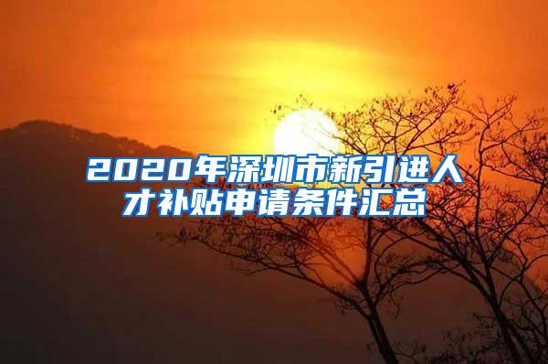 2020年深圳市新引进人才补贴申请条件汇总