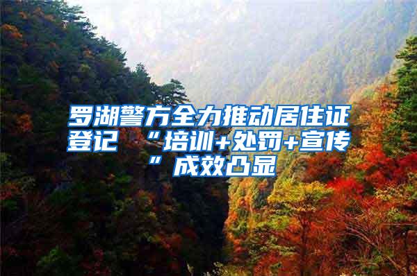 罗湖警方全力推动居住证登记 “培训+处罚+宣传”成效凸显