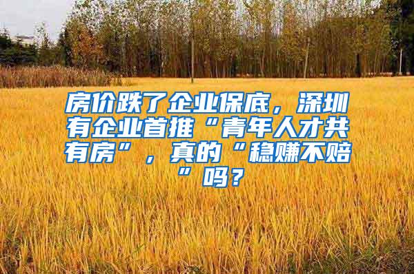 房价跌了企业保底，深圳有企业首推“青年人才共有房”，真的“稳赚不赔”吗？