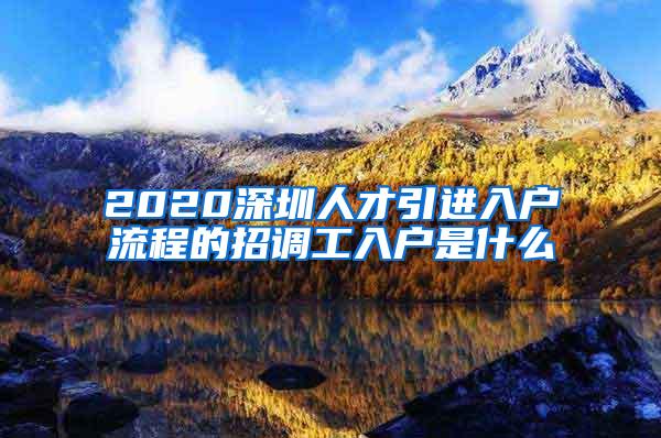 2020深圳人才引进入户流程的招调工入户是什么