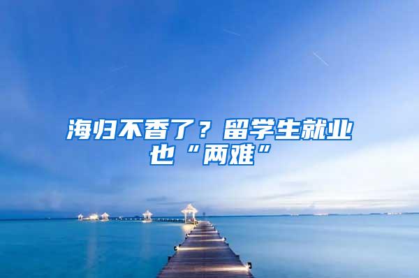 海归不香了？留学生就业也“两难”