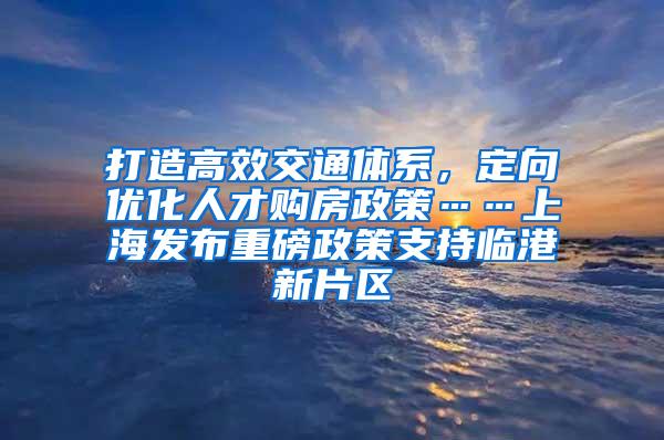 打造高效交通体系，定向优化人才购房政策……上海发布重磅政策支持临港新片区