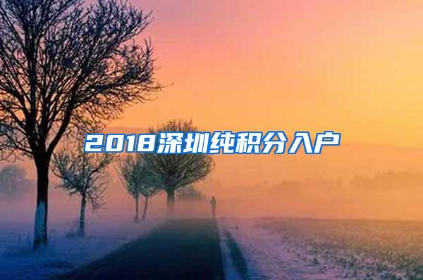 2018深圳纯积分入户