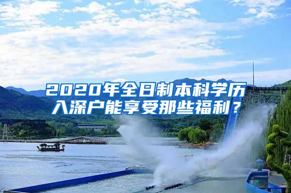 2020年全日制本科学历入深户能享受那些福利？