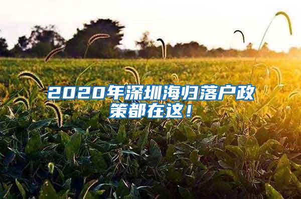 2020年深圳海归落户政策都在这！