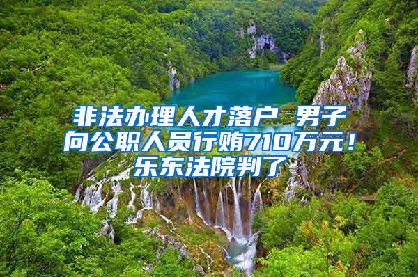 非法办理人才落户 男子向公职人员行贿710万元！乐东法院判了