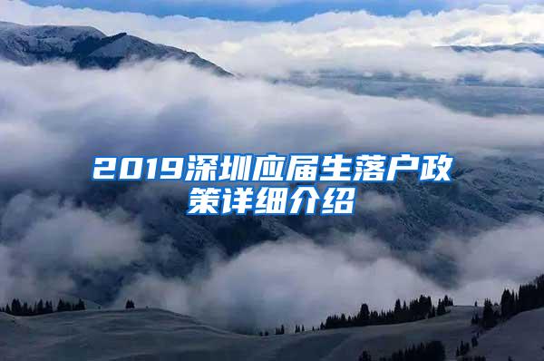 2019深圳应届生落户政策详细介绍