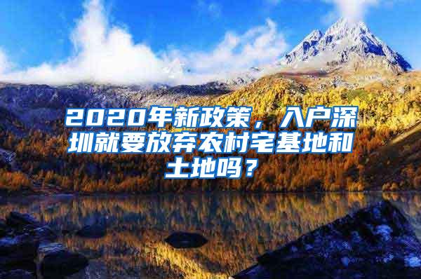 2020年新政策，入户深圳就要放弃农村宅基地和土地吗？