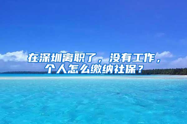 在深圳离职了，没有工作，个人怎么缴纳社保？