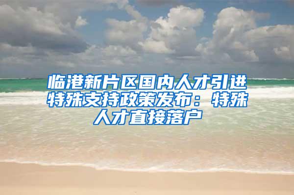 临港新片区国内人才引进特殊支持政策发布：特殊人才直接落户